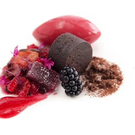 Langvik Congress Wellness 4*