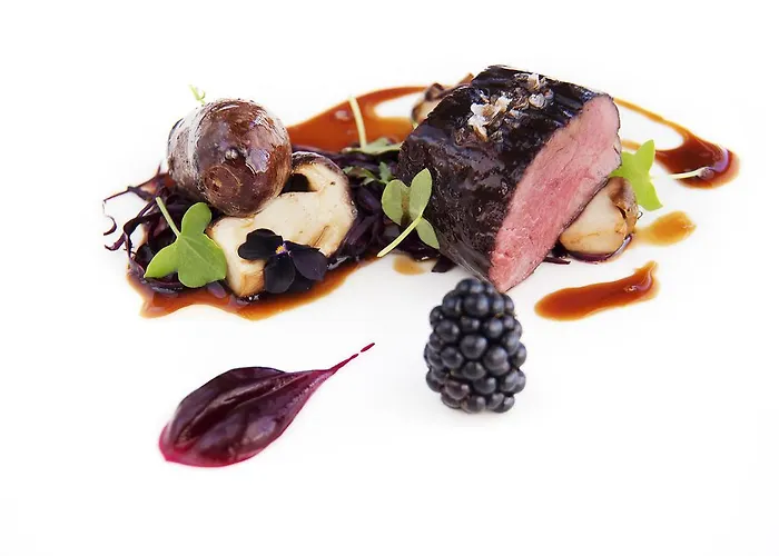 Langvik Congress Wellness 4* Киркконумми